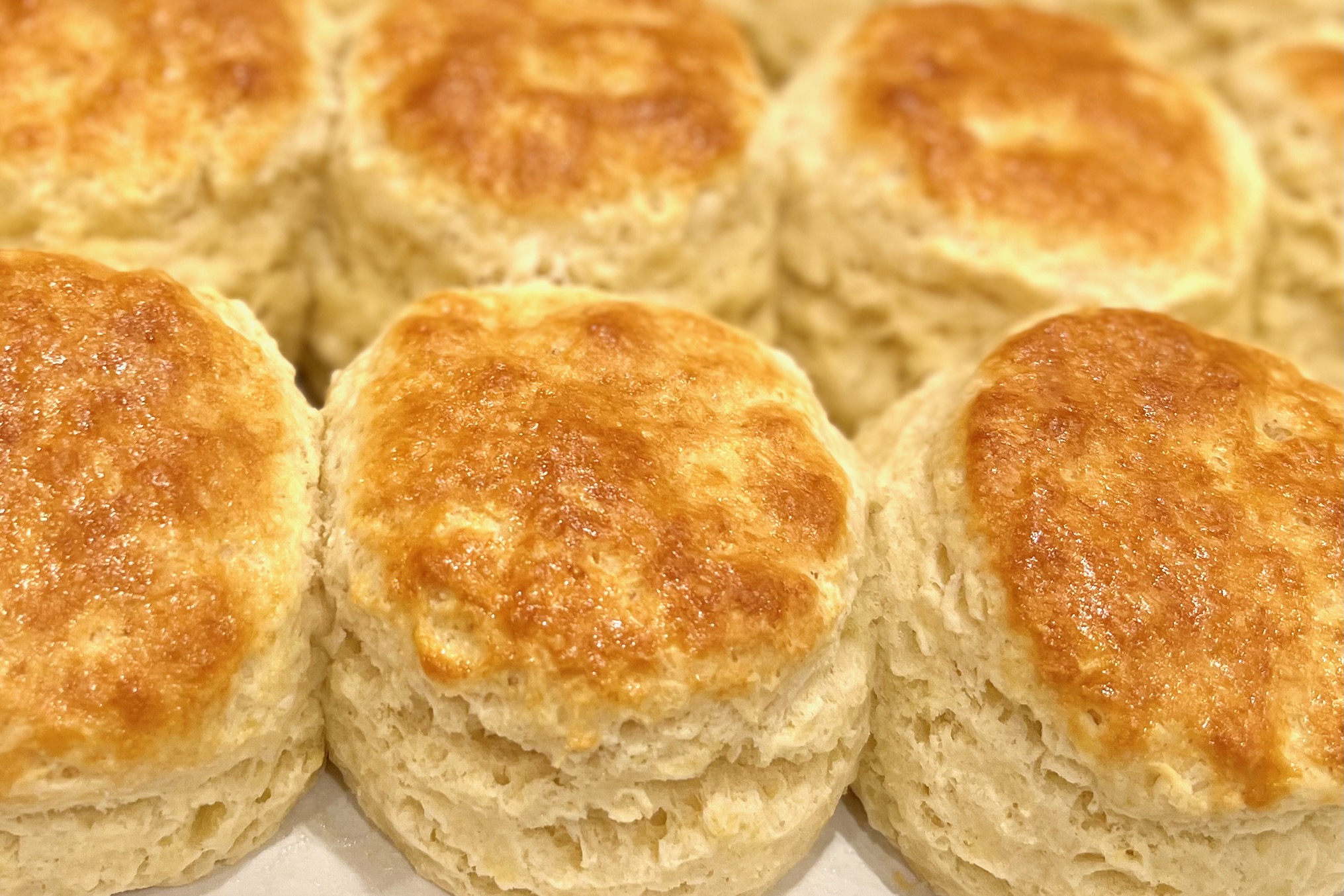 Buttermilk Biscuits