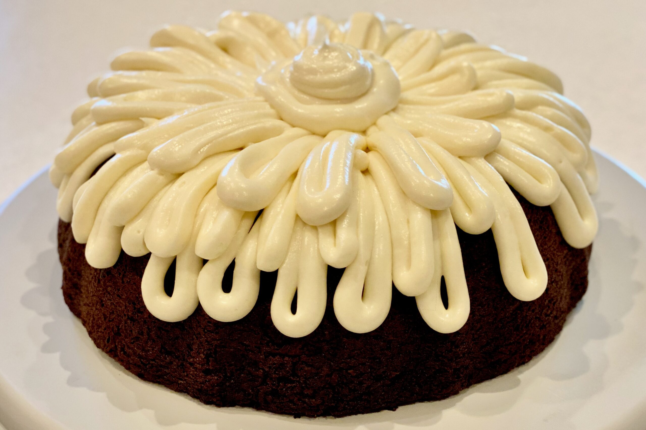 Double Chocolate Bundt Cake